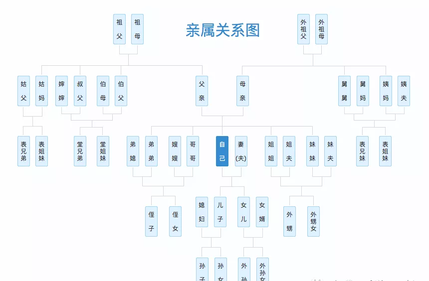 1630317195153265.png 图片19.png